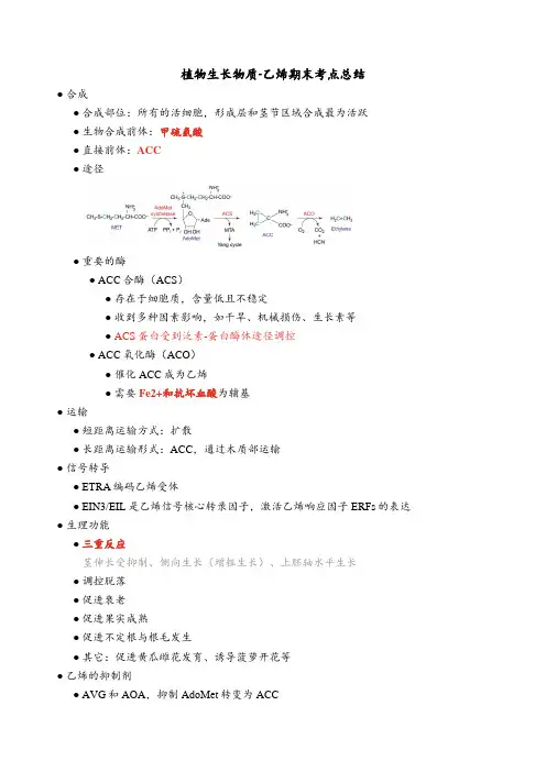 植物生长物质-乙烯期末考点总结