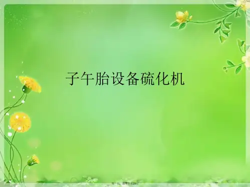 子午胎设备硫化机