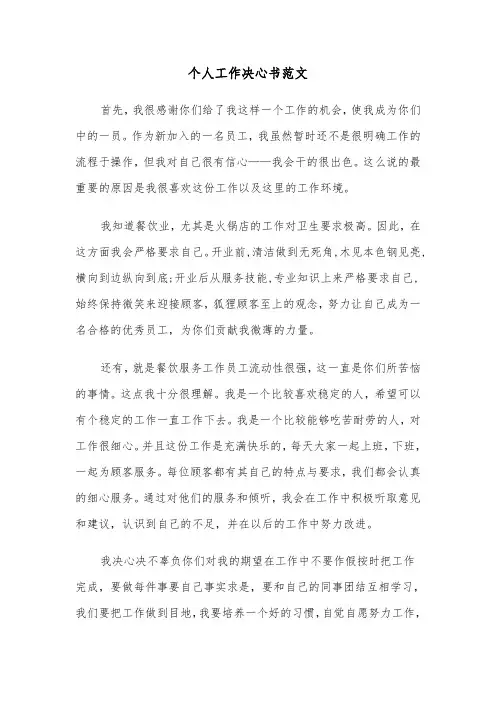 个人工作决心书范文(5篇)