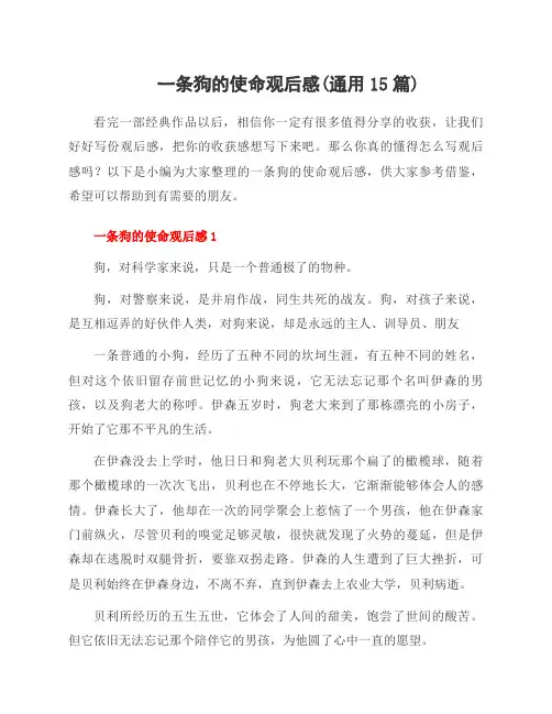 一条狗的使命观后感(15篇)