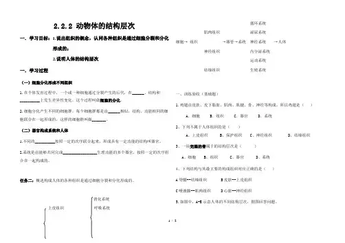 人教版七年级生物上册2.2.2动物体的结构层次学案及答案