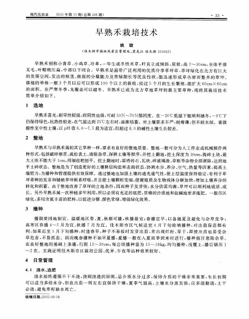 早熟禾栽培技术