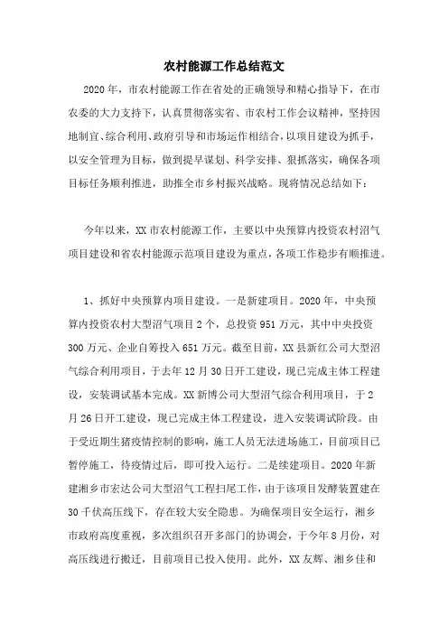 农村能源工作总结范文
