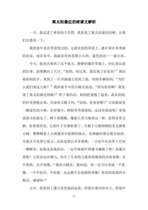 离太阳最近的树课文解析