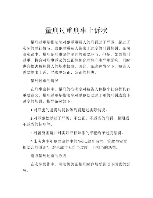 量刑过重刑事上诉状