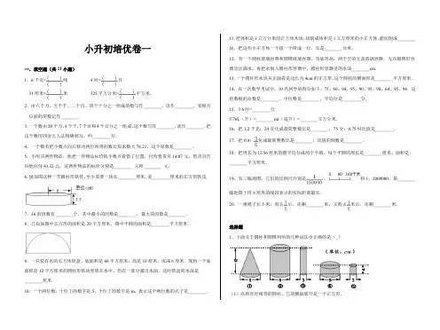 六年级数学试题-小升初培优卷一苏教版