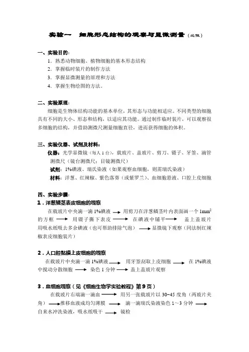 xu《细胞生物学实验》教案