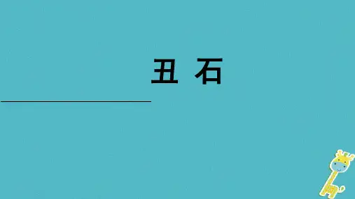 八年级语文上册 第五单元 17《丑石》课件1 北京课改版