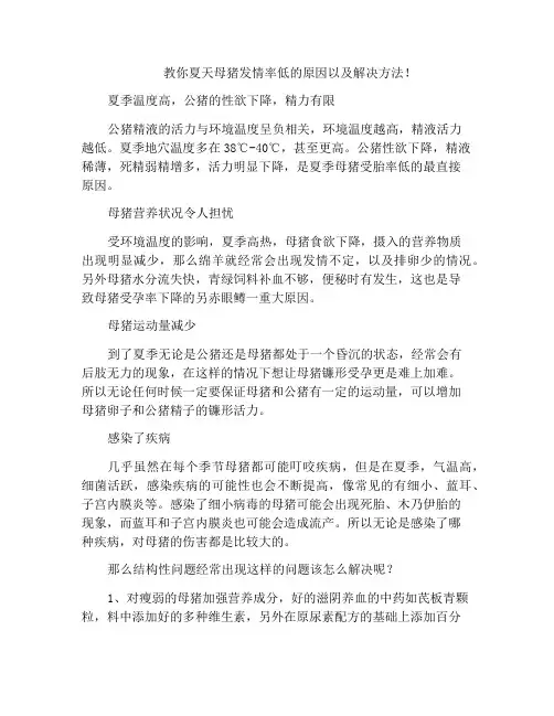 教你夏天母猪发情率低的原因以及解决方法!