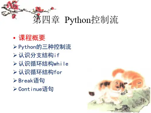 Python第四章ppt