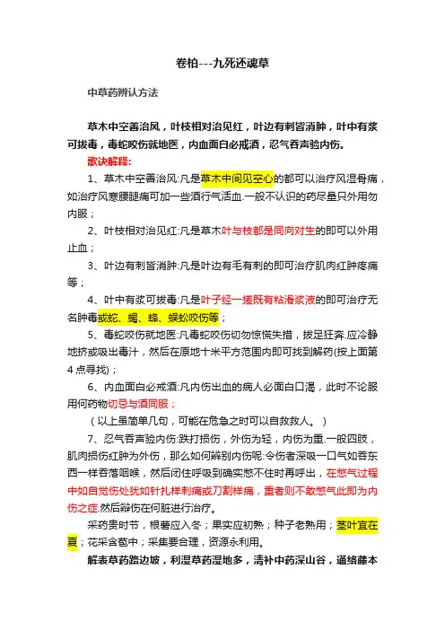 卷柏---九死还魂草