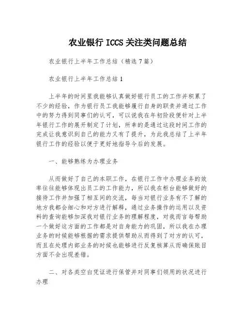 农业银行ICCS关注类问题总结