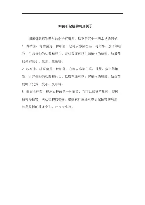 细菌引起植物畸形例子