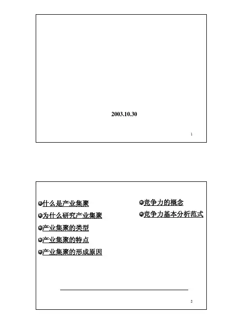 产业集聚与竞争力