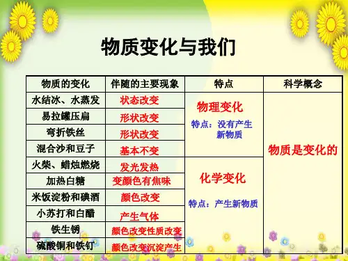 (教科版)小学科学六下《物质变化与我们》PPT课件(同课异构)(1)
