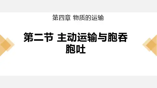 主动运输与胞吞、胞吐课件-高一生物人教版必修1