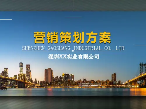 【营销策划】新产品开发及产品战略规划