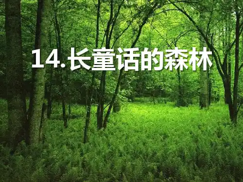 初中课件《长童话的森林》2PPT