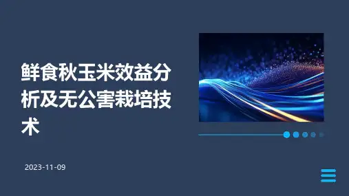 鲜食秋玉米效益分析及无公害栽培技术