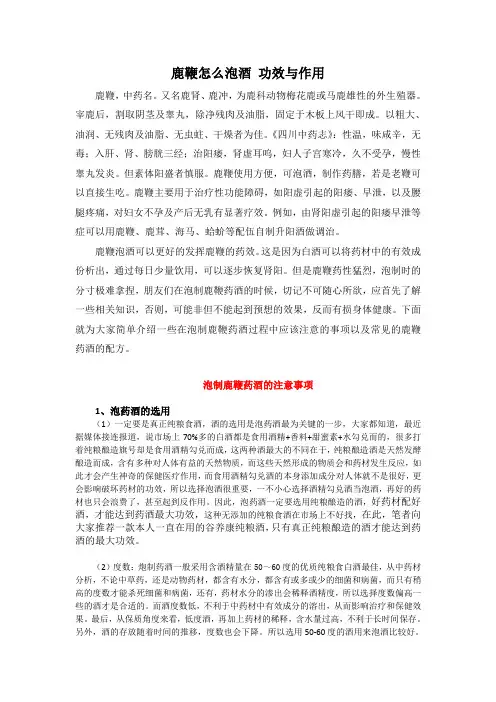鹿鞭怎么泡酒 功效与作用