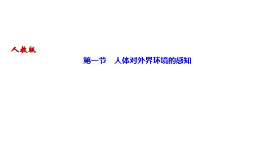 人教版七年级生物下册作业课件第四单元 第六章 人体生命活动的调节 第一节 人体对外界环境的感知