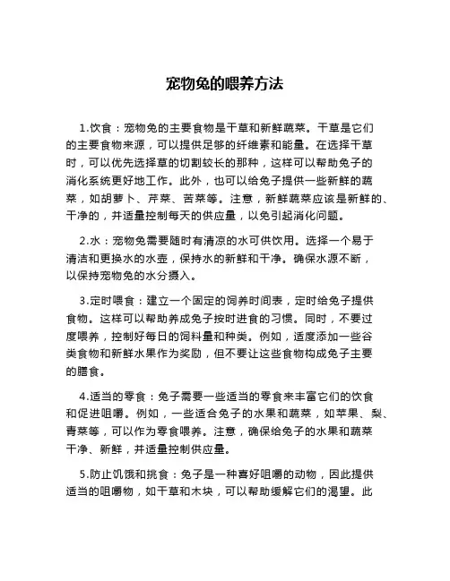 宠物兔的喂养方法