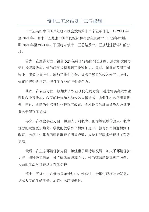 镇十二五总结及十三五规划