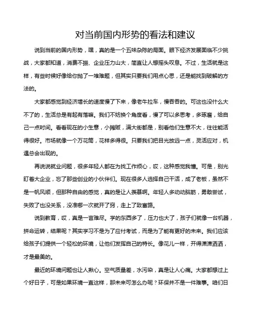对当前国内形势的看法和建议