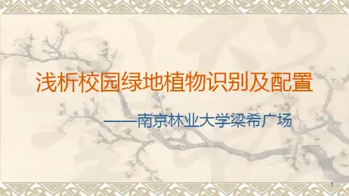 浅析校园绿地植物识别及配置——以南京林业大学为例PPT课件