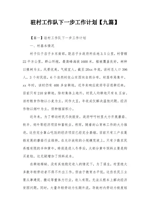 驻村工作队下一步工作计划【九篇】