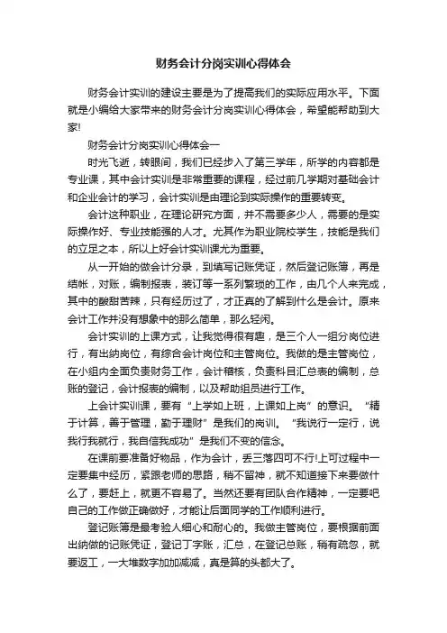 财务会计分岗实训心得体会