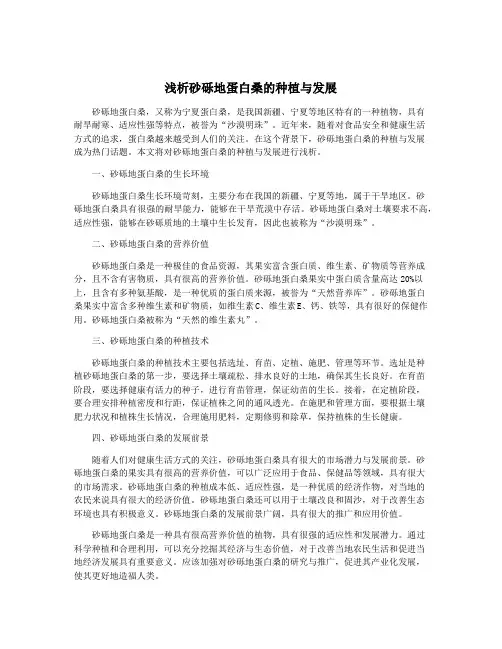 浅析砂砾地蛋白桑的种植与发展