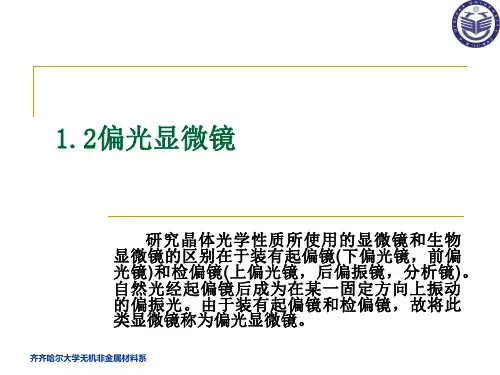 偏光显微镜解析PPT课件
