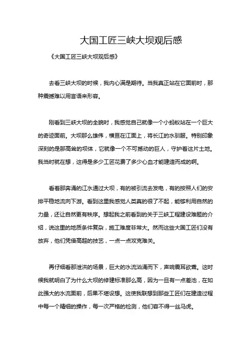 大国工匠三峡大坝观后感
