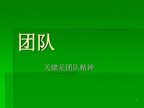 团队精神培养教材(PPT 30张)