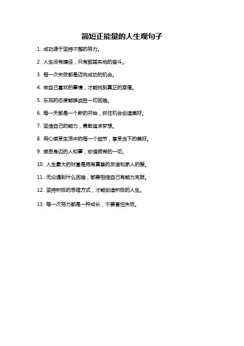 简短正能量的人生观句子