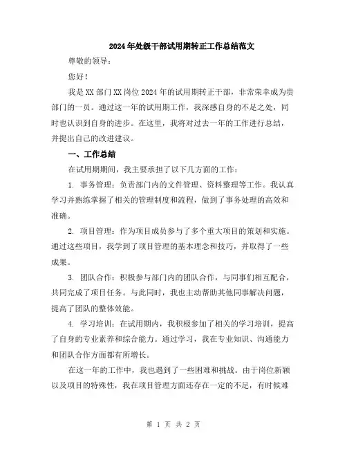 2024年处级干部试用期转正工作总结范文