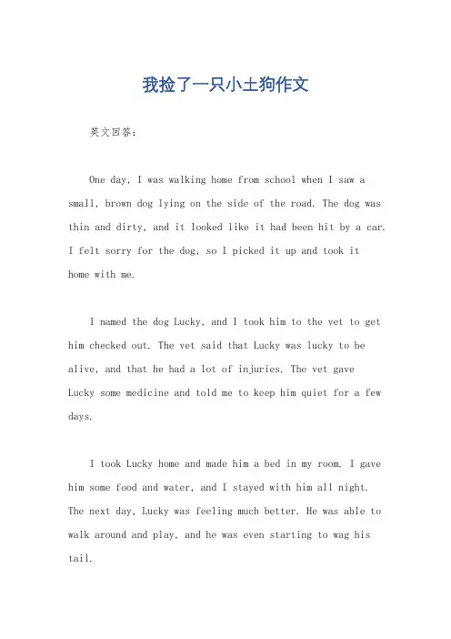 我捡了一只小土狗作文