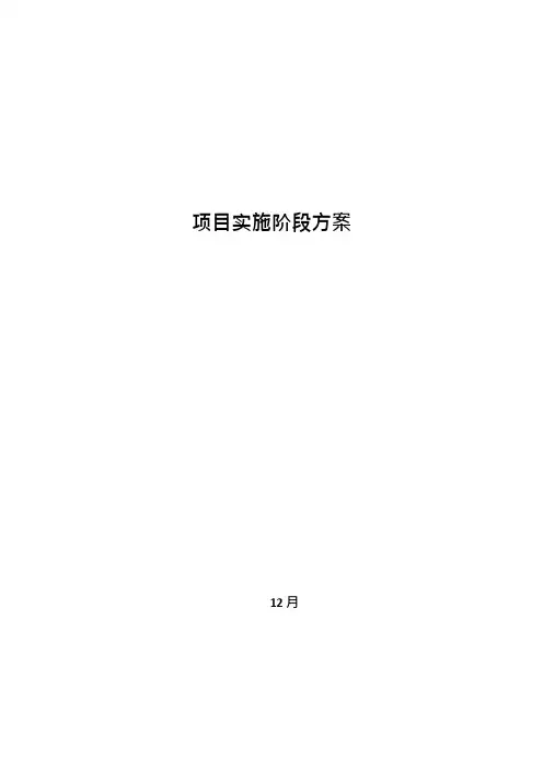 11_项目实施阶段方案