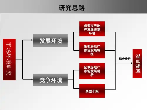 成都新都某项目市场发展环境报告63PPT