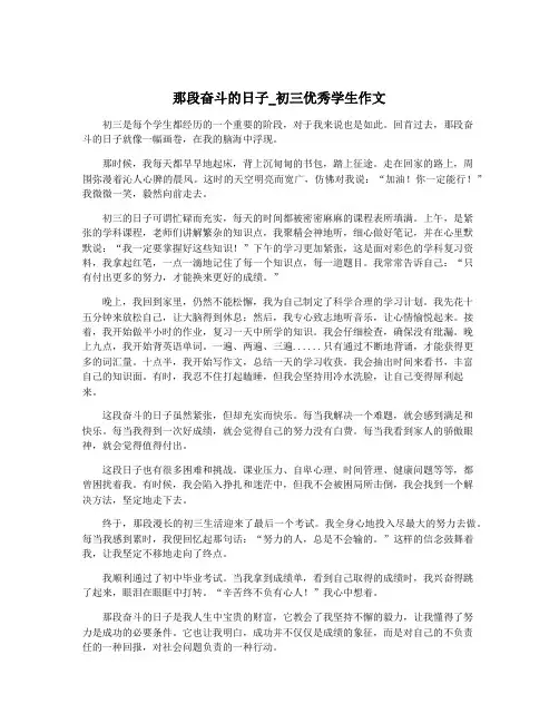 那段奋斗的日子_初三优秀学生作文