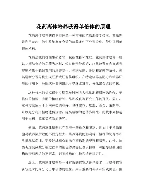 花药离体培养获得单倍体的原理