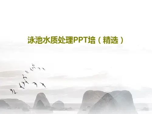 泳池水质处理PPT培(精选)PPT27页