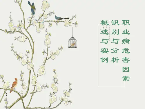 典型行业职业病危害因素识别与分析