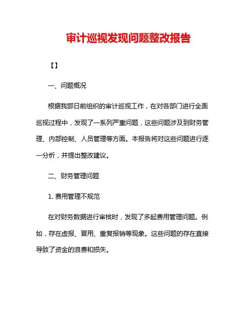 审计巡视发现问题整改报告