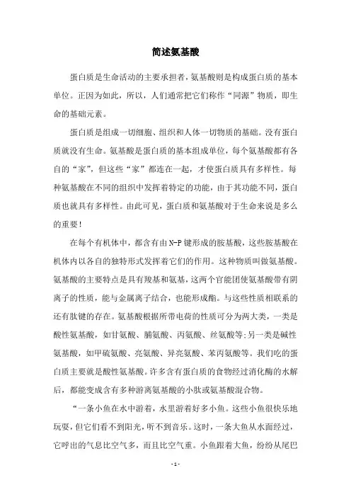 简述氨基酸