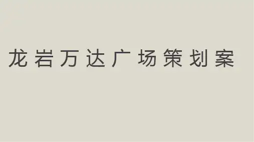 龙岩万达策划案 14 ppt