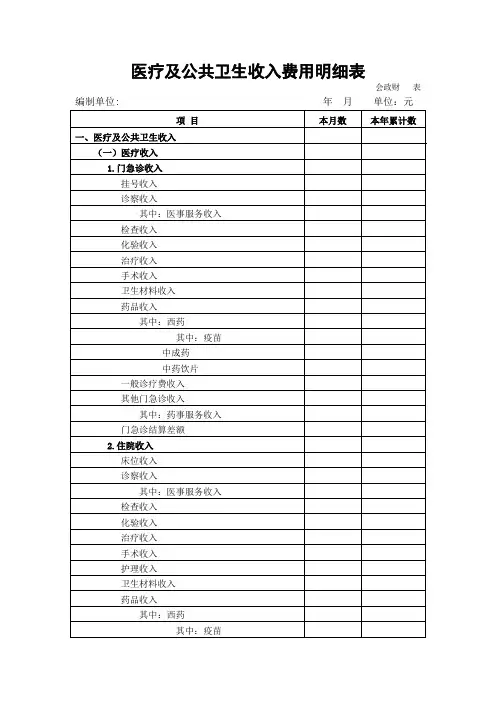 医疗及公共卫生收入费用明细表