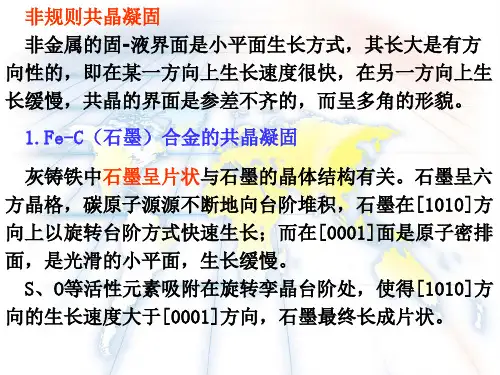 凝固组织