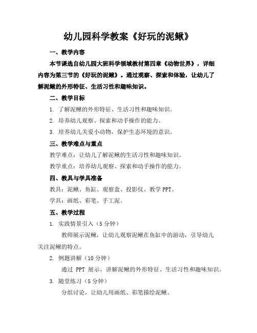 幼儿园科学教案《好玩的泥鳅》